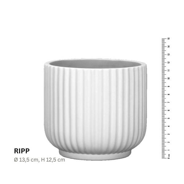 Koffer2go RIPP Übertopf, H: 12,5 cm Ø 13,5 cm- 30 EUR