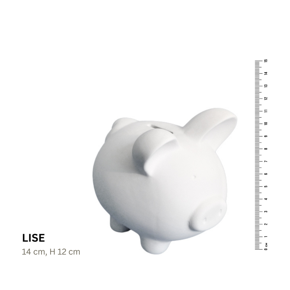 Koffer2go Sparschwein LISE 14 x 11  - 28 EUR