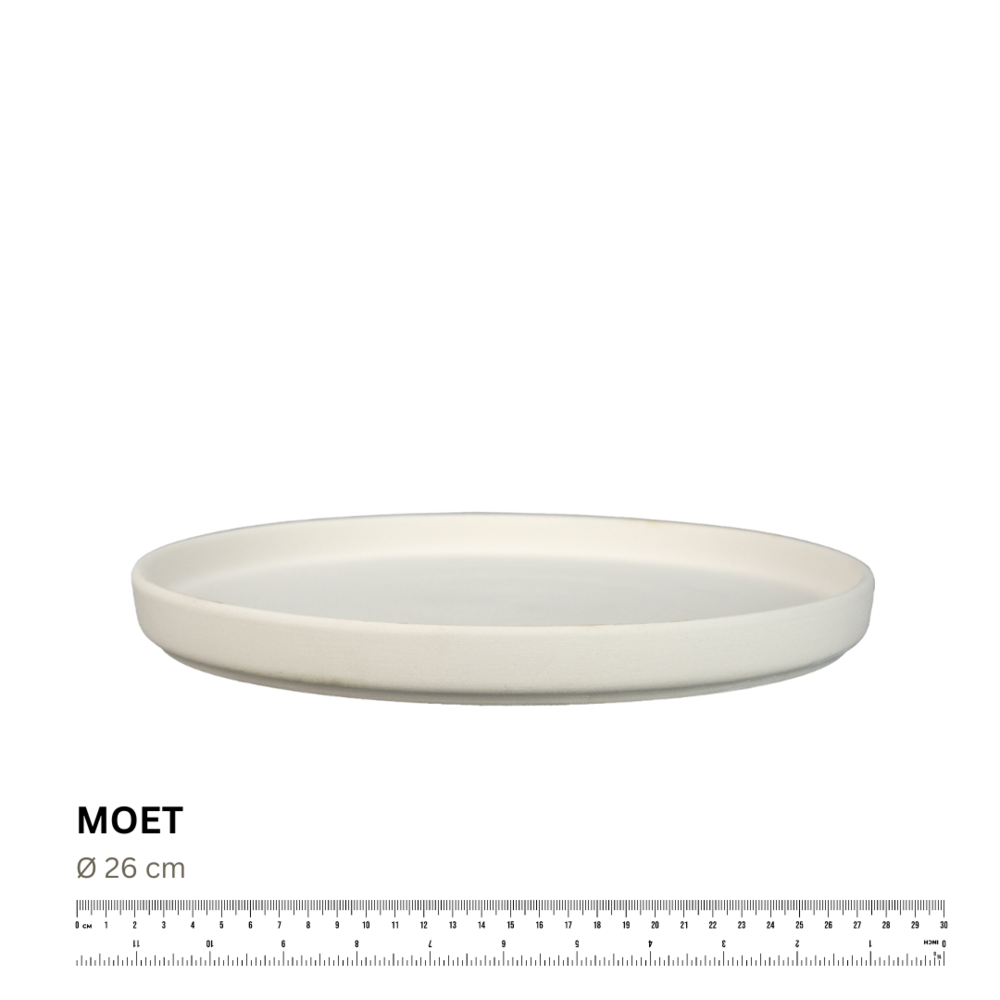 Koffer2go - MOET - Speiseteller modern - 35 EUR