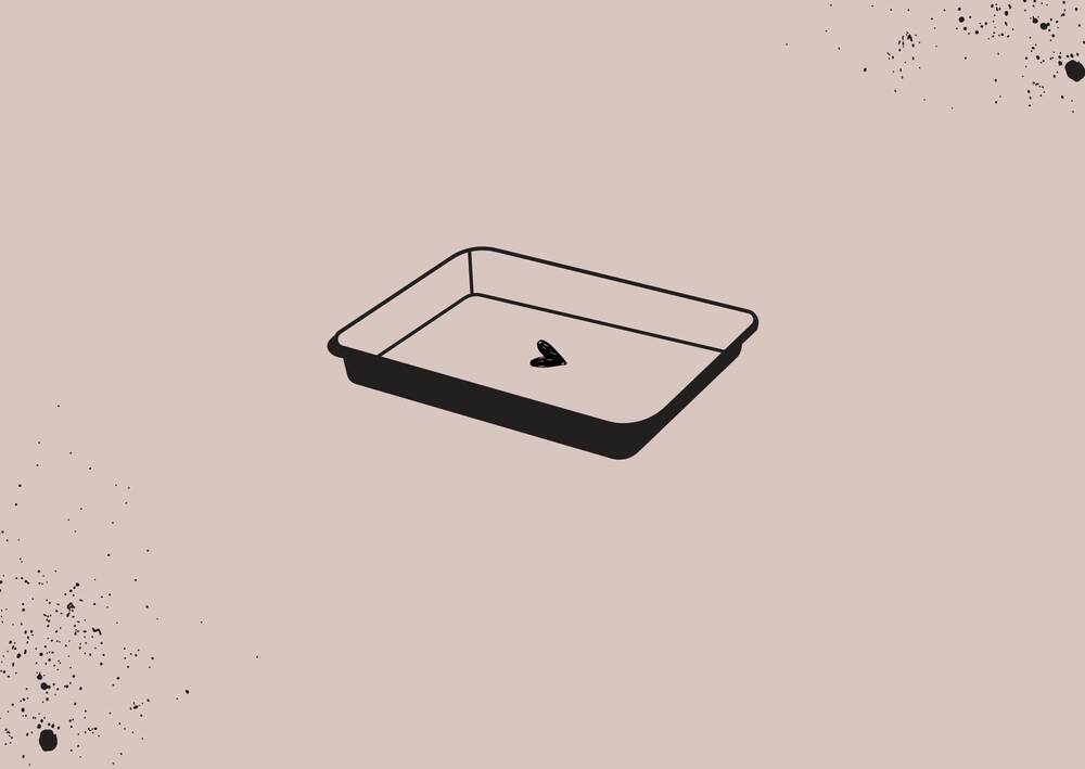 Platten